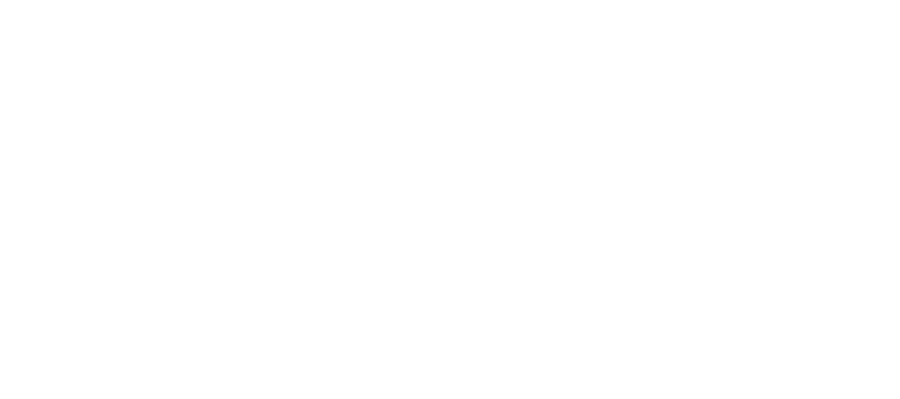 World Aviation Festival